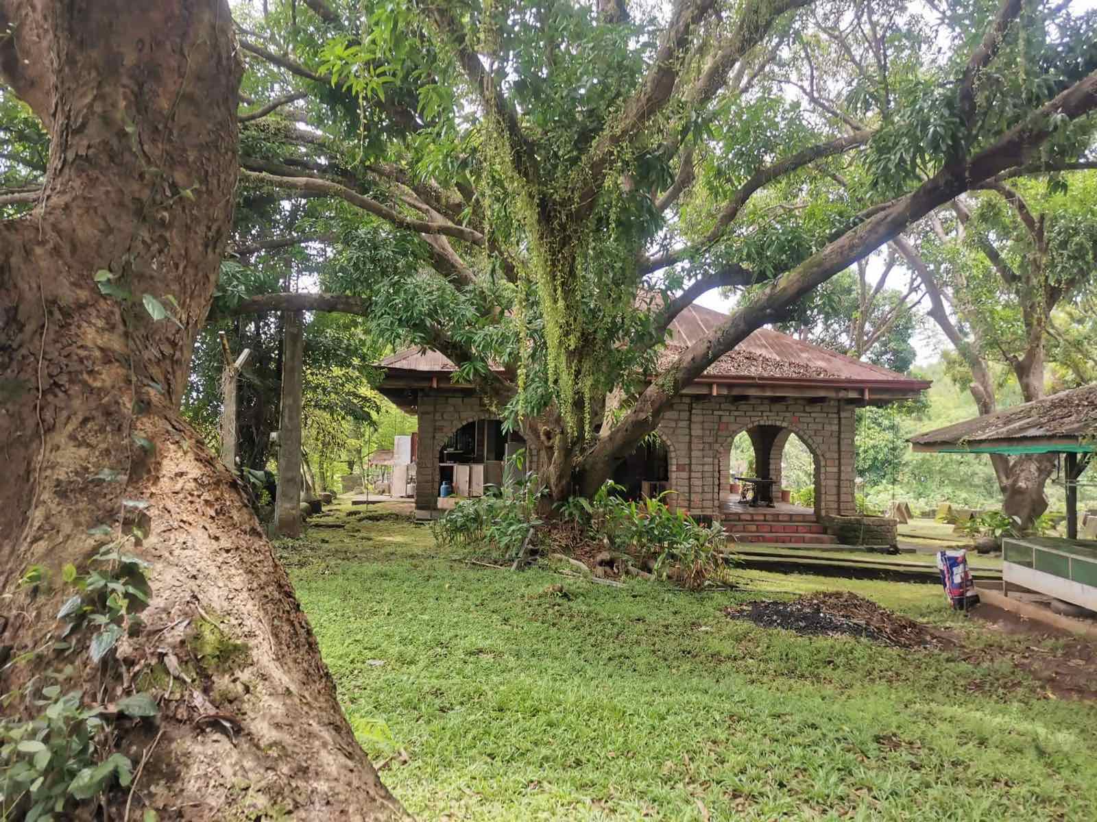 Farm Lot at San Jose del Monte, Bulacan